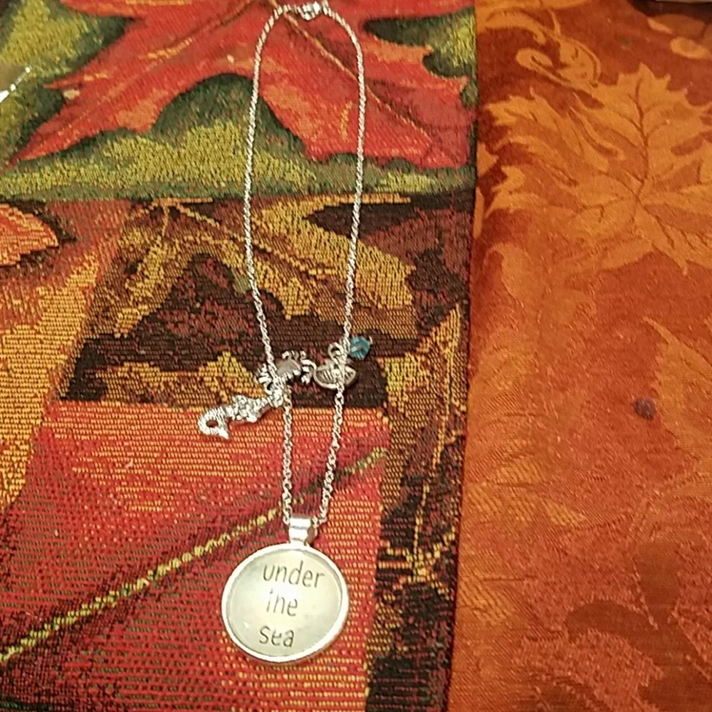 ❤️5/$25 New mermaid under the sea necklace